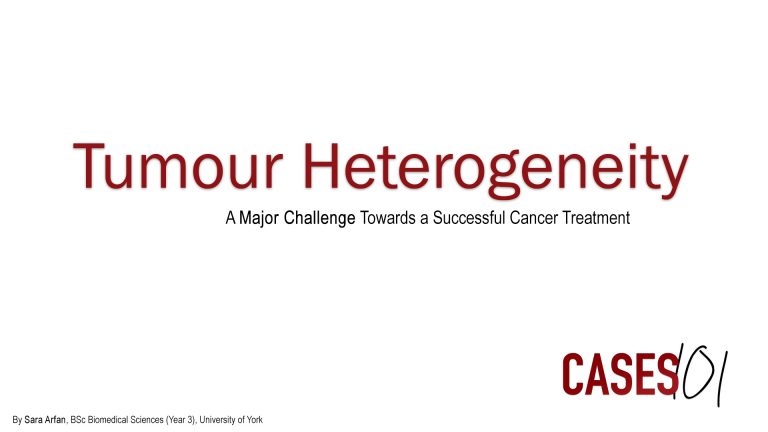 Tumour Heterogeneity: A Major Challenge Towards a ...